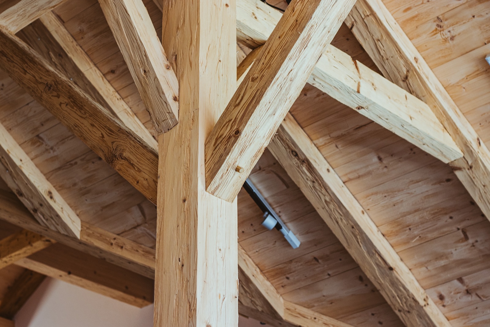 aktuelles ausm stadl